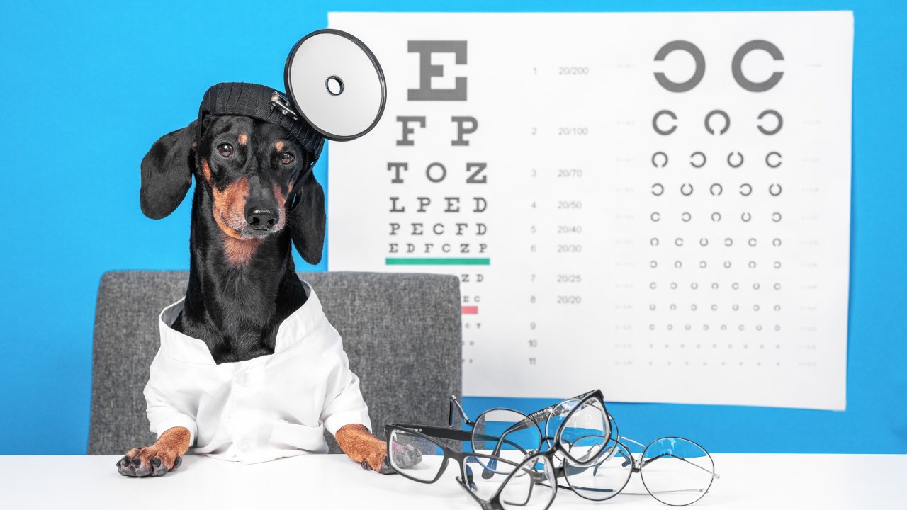 A Szemüveg Doktor